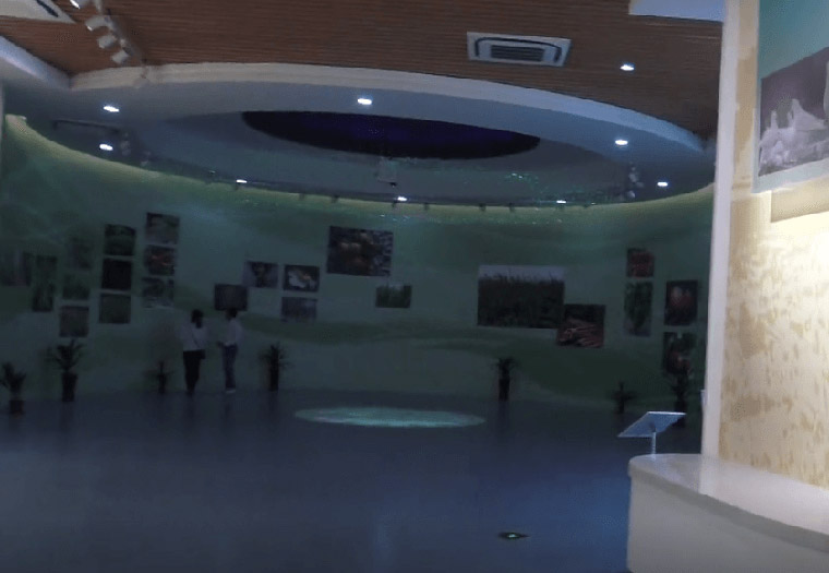 多媒體數(shù)字展館/展廳設(shè)計多媒體互動設(shè)備/數(shù)字化展廳常用設(shè)備清單